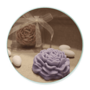 Peony flower mini